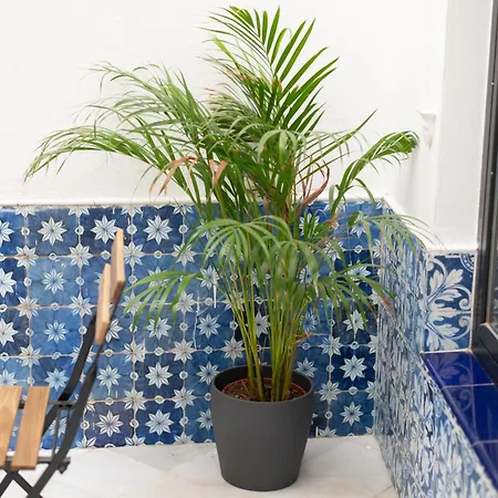 Apartament Alameda De Hercules Sewilla